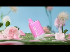 Drala 600 / 800 Puffs Tek Kullanımlık Vape Kalemler Meyve Aromalı E Sigara Vape